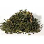 Nettle "Stinging)"Leaf Cut 2oz  (Urtica dioica)