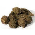 High John 1oz (Ipomoea jalapa)