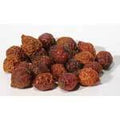 Rose Hips whole 1oz  (Rosa canina)