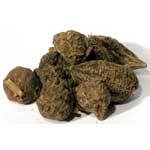 High John Root 1oz  (Ipomoea jalapa)